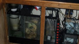 FRAG TANK 009.jpg