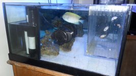 FRAG TANK 014.jpg