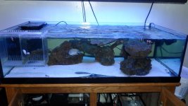 FRAG TANK 015.jpg