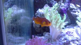 20130915_214802.jpg