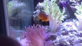 20130915_214739.jpg