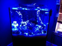 fishtank.jpg