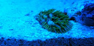 IMG_8737.jpg