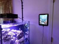 20130505_123955.jpg