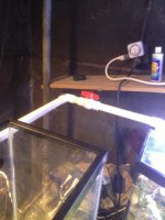 ImageUploadedByReefs1367779667.853725.jpg