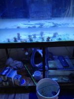 IMG_0115.jpg