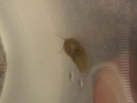 20131205_211411[1].jpg