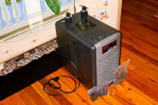 IMG_8462.jpg