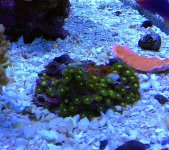 IMG_6804.jpg