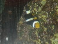 20140221_150326.jpg
