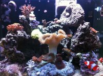 IMG_1660.jpg