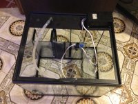 ImageUploadedByReefs1367798347.665053.jpg