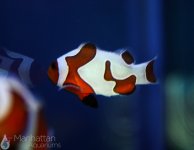 IMG_6535.JPG