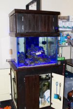 TankBreakdown-5.jpg