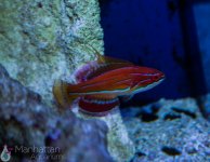 IMG_6543.JPG