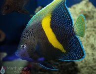 IMG_6554.JPG