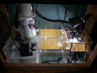 20130615_140912.jpg