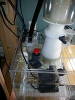 20130615_140918.jpg
