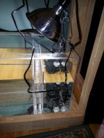 20130615_140928.jpg