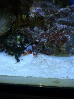 20130616_163445.jpg