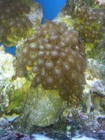 20130618_152000.jpg