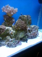 20130618_152006.jpg