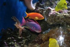 IMG_5336[1].jpg