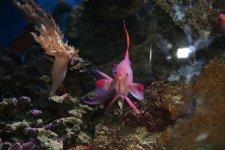 IMG_5337[1].jpg