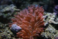IMG_5340[1].jpg