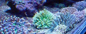 DSC01283.jpg