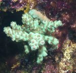 DSCF1208.JPG