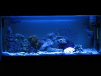 resized_IMG_0012_1.jpg