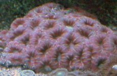DSC01290.jpg
