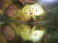 100_1171.jpg