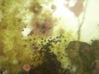 100_1173.JPG