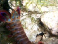 100_1186.jpg