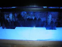 PB120237 (2).JPG