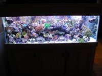PB120240 (2).JPG