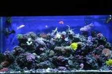 FULL TANK 002.jpg