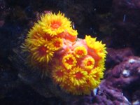 IMG_0251.JPG