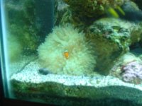 DSC01307.jpg