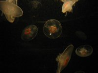 IMG_0123.JPG