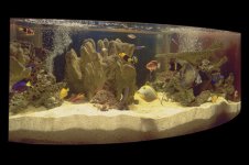 tank1_fullsize.jpg