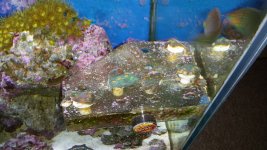 20130617_171901.jpg