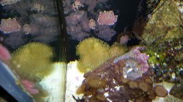 20130617_171917.jpg