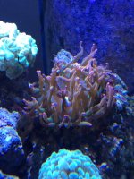 photo[1].JPG