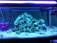 20131023_230637.jpg