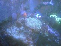 IMG_0693.jpg