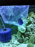 20131023_193000.jpg