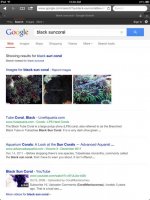 ImageUploadedByReefs1371616741.715101.jpg